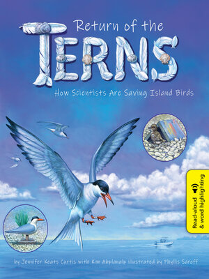cover image of Return of the Terns